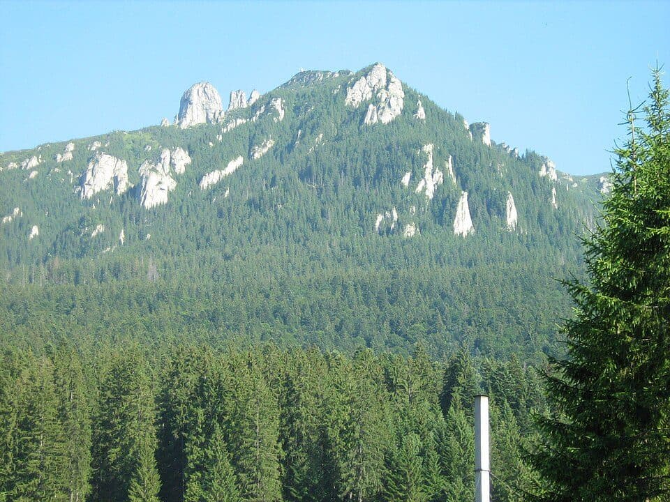 Cabana Izv. Muntelui - Platoul Ocolașului Mic - Cabana Dochia