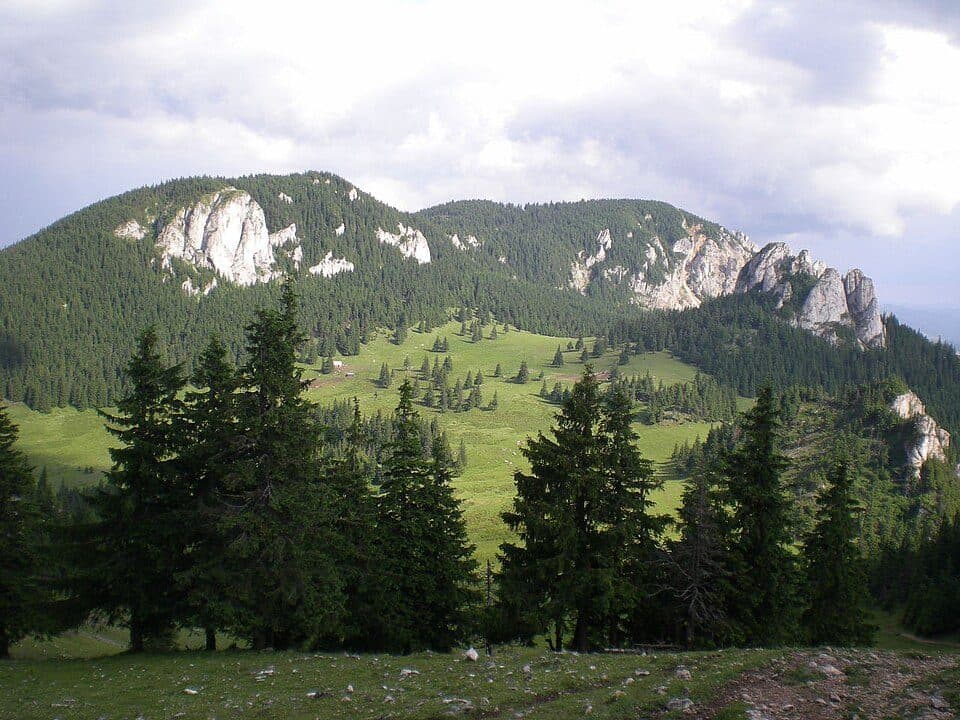 Park Narodowy Cheile Bicazului-Hășmaș