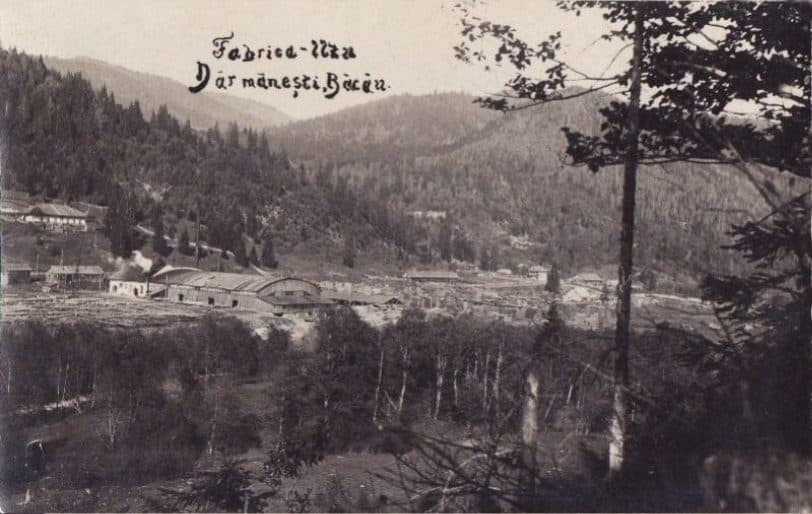 Valea Uzului - Muntele Muerus
