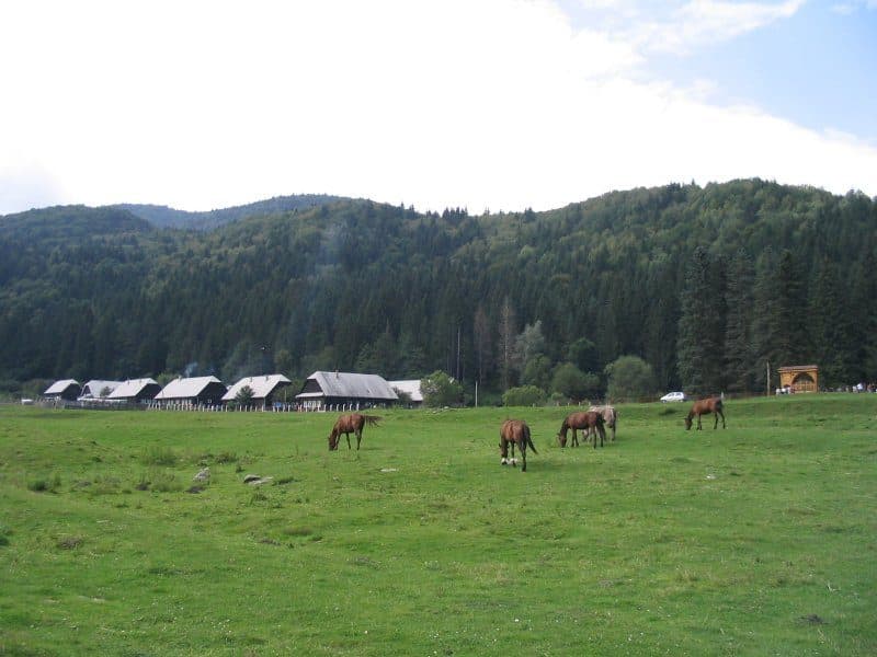 Valea Uzului - Muntele Muerus