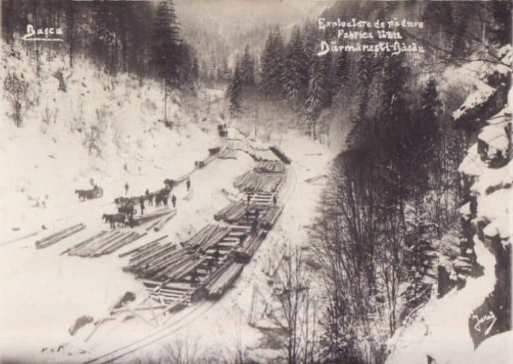 Valea Uzului - Muntele Muerus