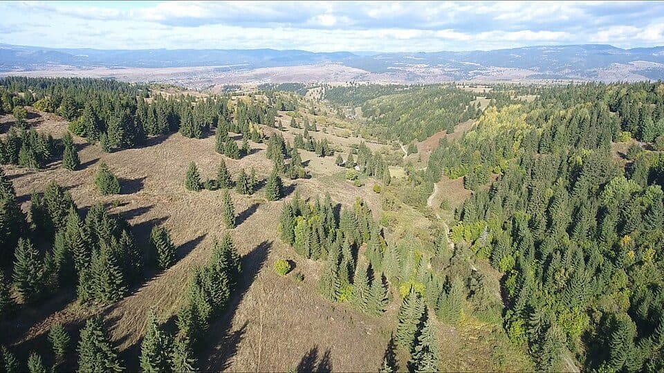 RN Cascada Toplița - Pârtiile Magheruș și Bradul prin cartier Zăpode