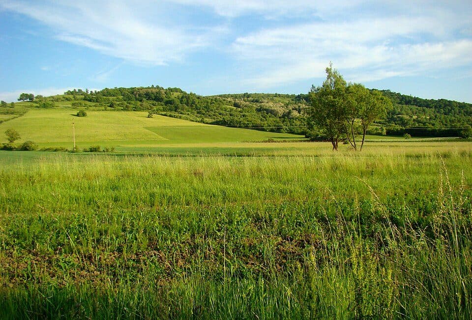 Via Mariae M01-MSc (Valea - releu Sărățeni)
