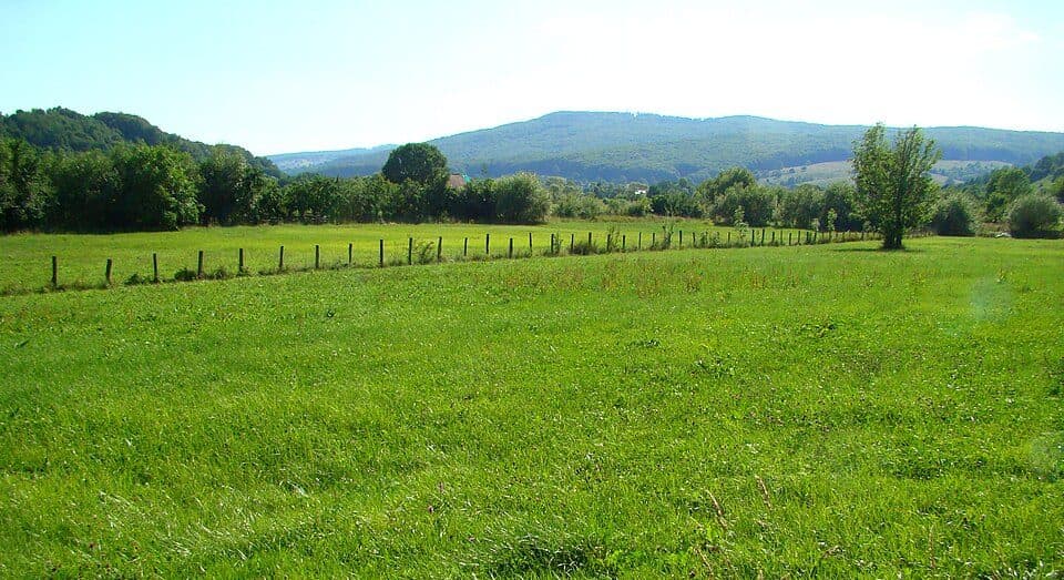 Glăjărie - Valea Cașva - Poiana Iod
