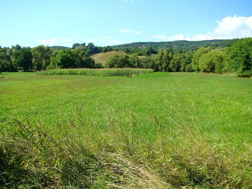 Glăjărie - Valea Cașva - Poiana Iod