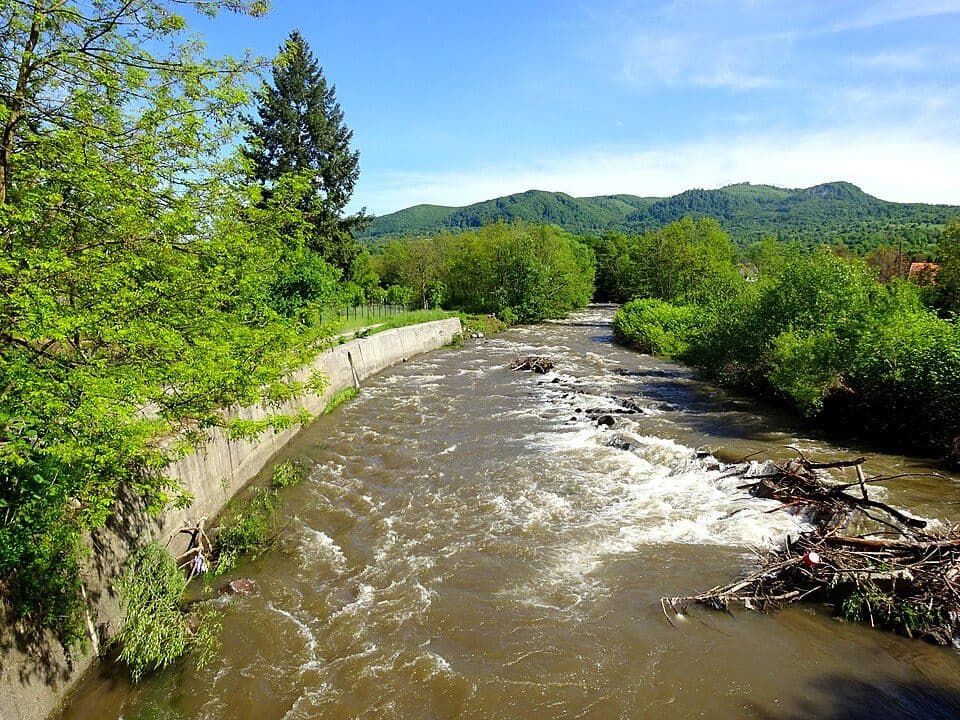 Dubiștea de Pădure