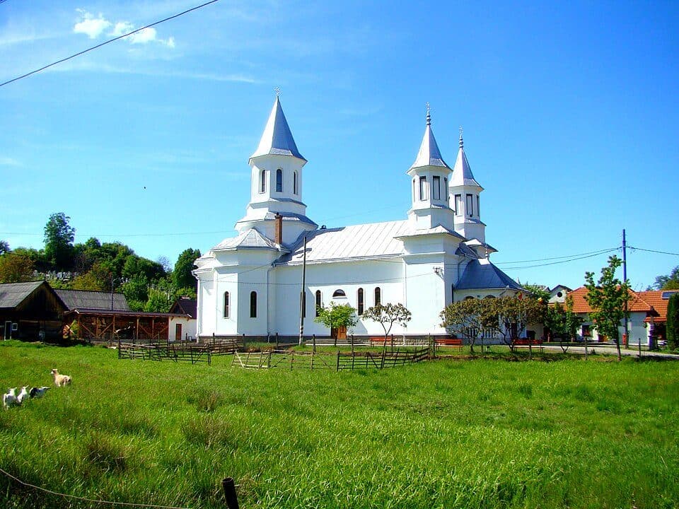 Toaca