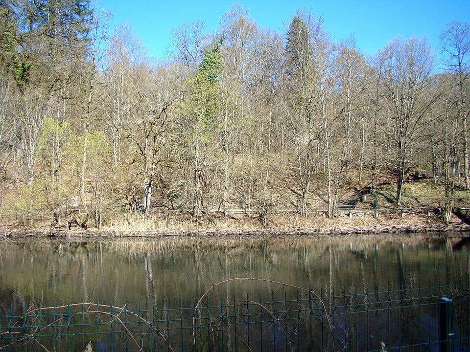 Sovata (Gara Mică) - Creasta Stejarului - Sovata (Centru)