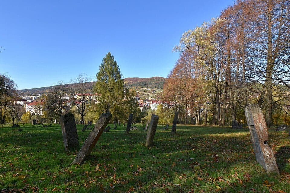 Ustrzyki Dolne - Orlik - Jasień