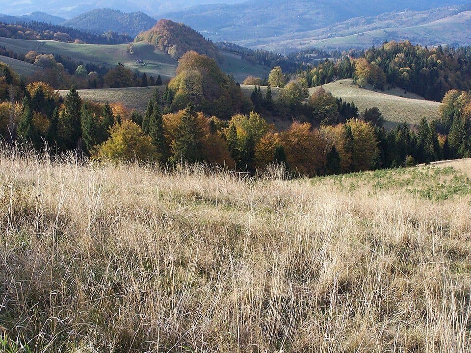 Jaworki - Przełęcz Korbalowa/Stráňanské sedlo