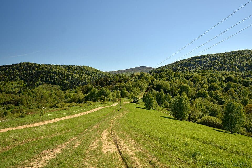 Ścieżka Rajskie - Trywolne - Krywe