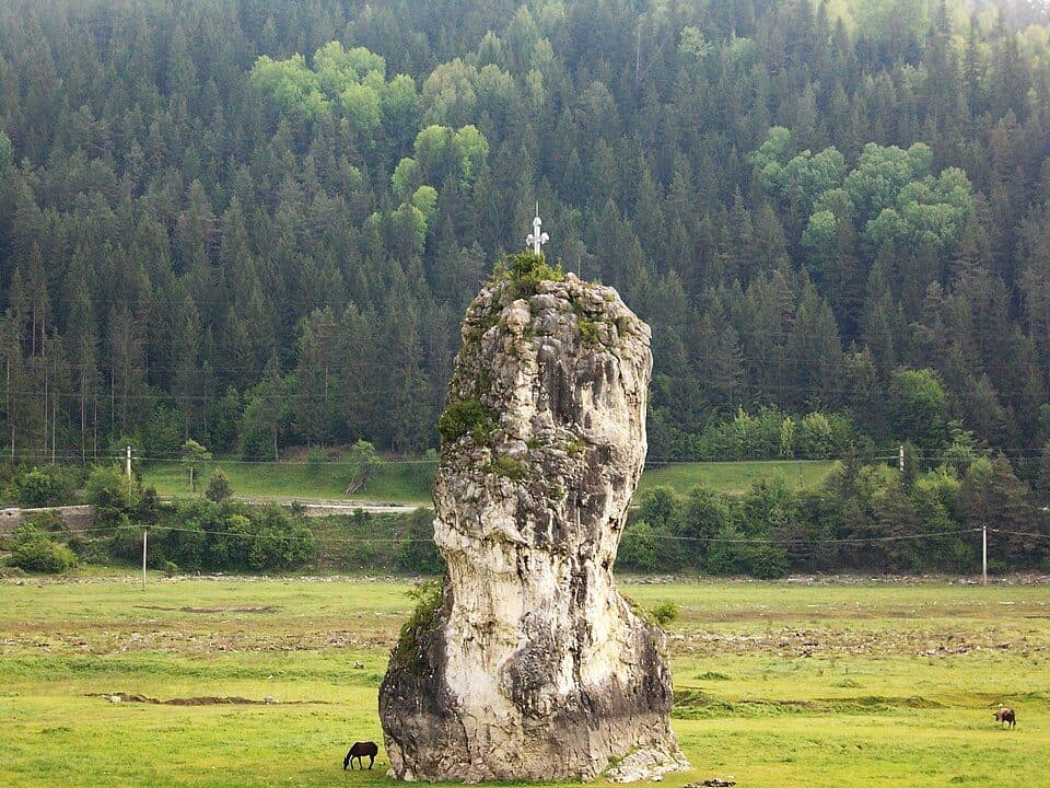 Rezervația forestieră Pângărați