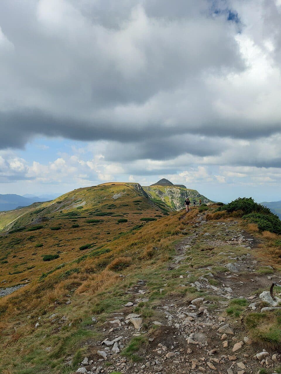 Pietrosu Peak (Călimani)