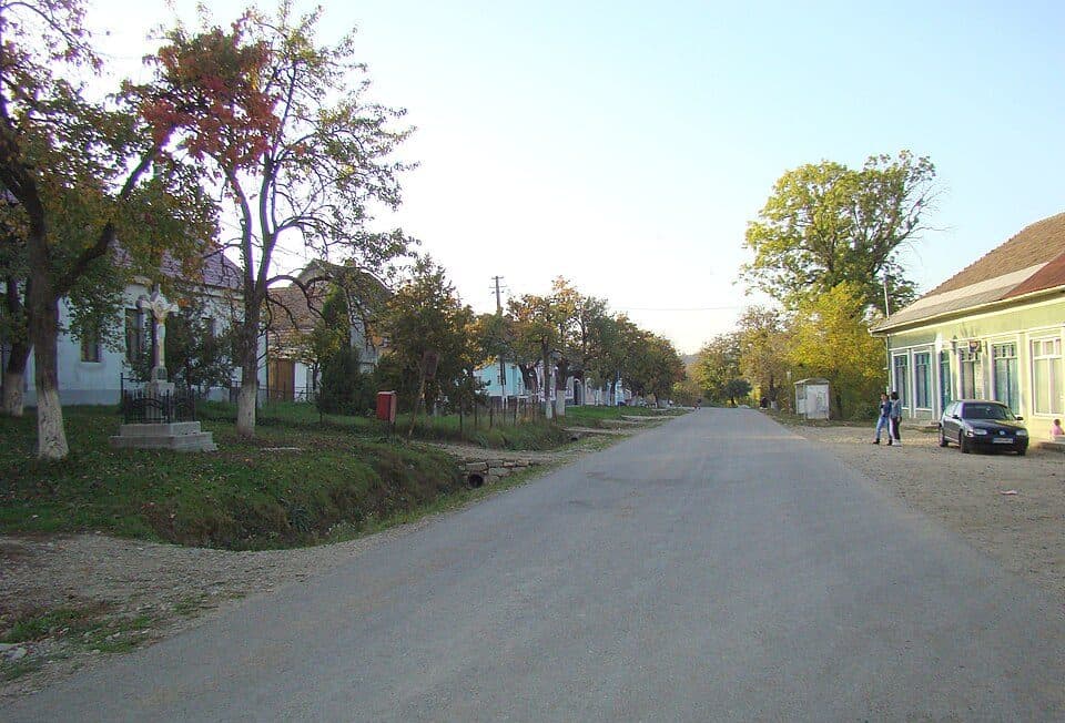 Dorolea — fotografia 3