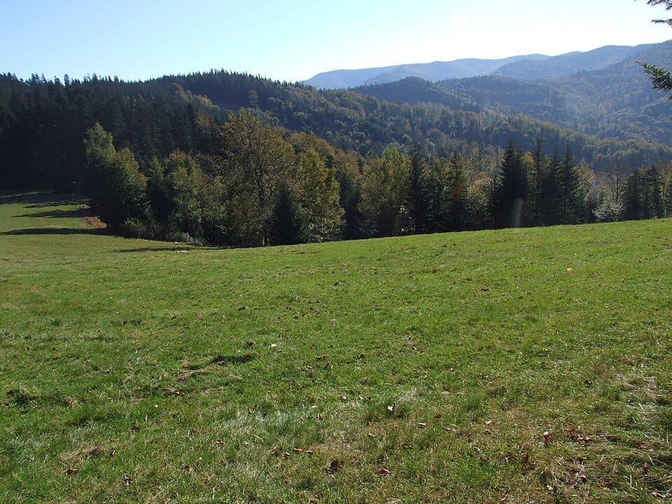 Wilcze Doły (Beskid Sądecki)