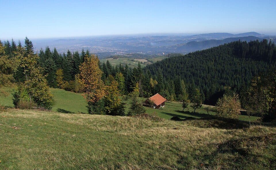 Nowy Sącz - Makowica