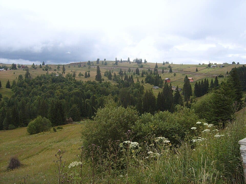 Tihuța Pass — photo 2