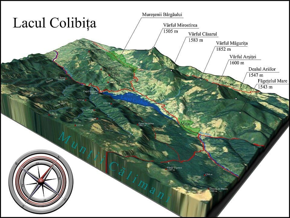 Colibița
