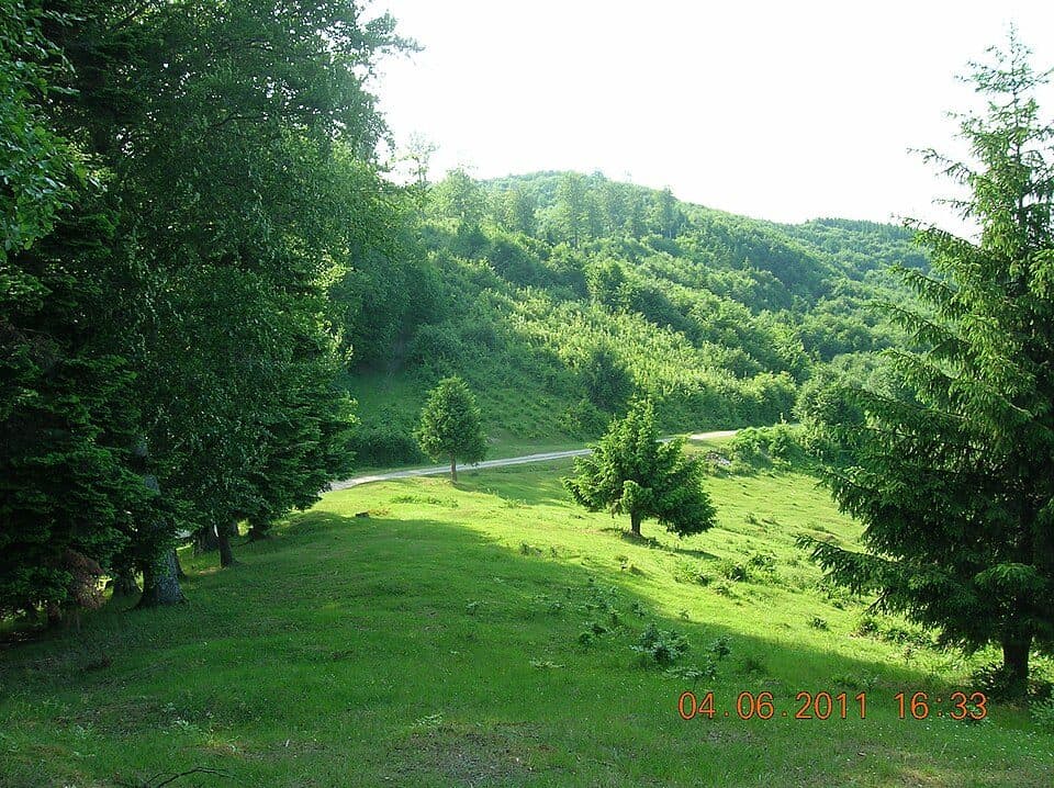 Creasta Iepei - Vf. Muncelul - Trecătoarea Stânișoarei - Pasul Petru Vodă