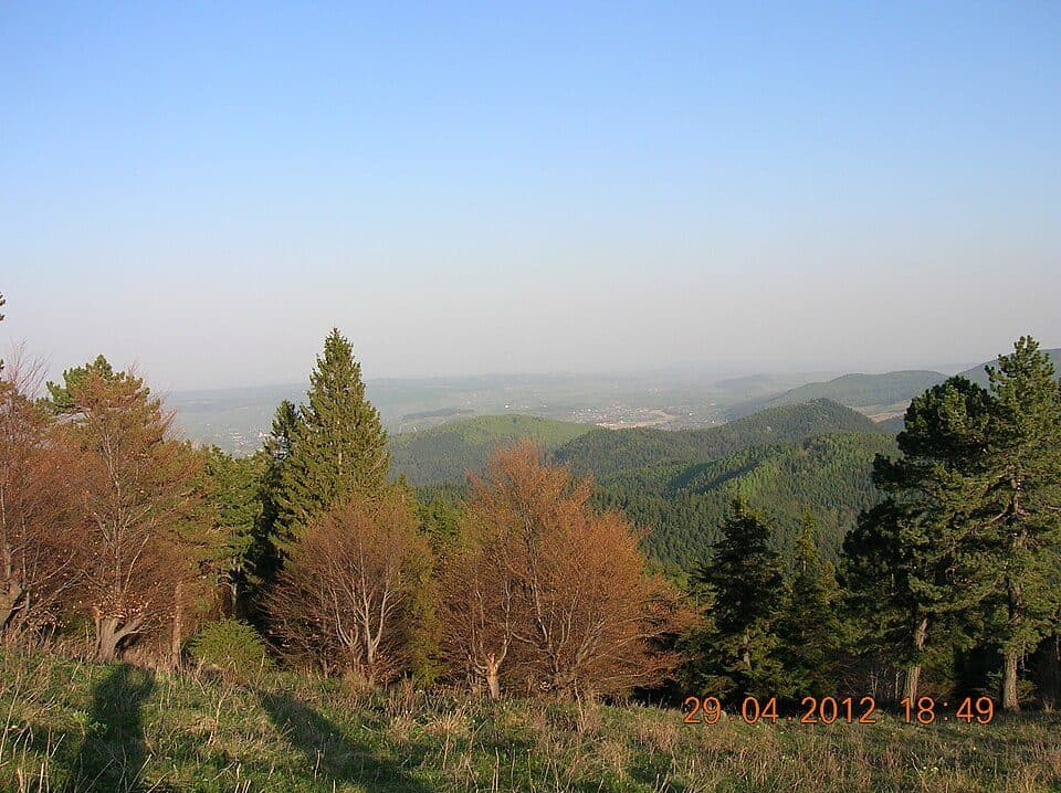 Creasta Iepei - Vf. Muncelul - Trecătoarea Stânișoarei - Pasul Petru Vodă