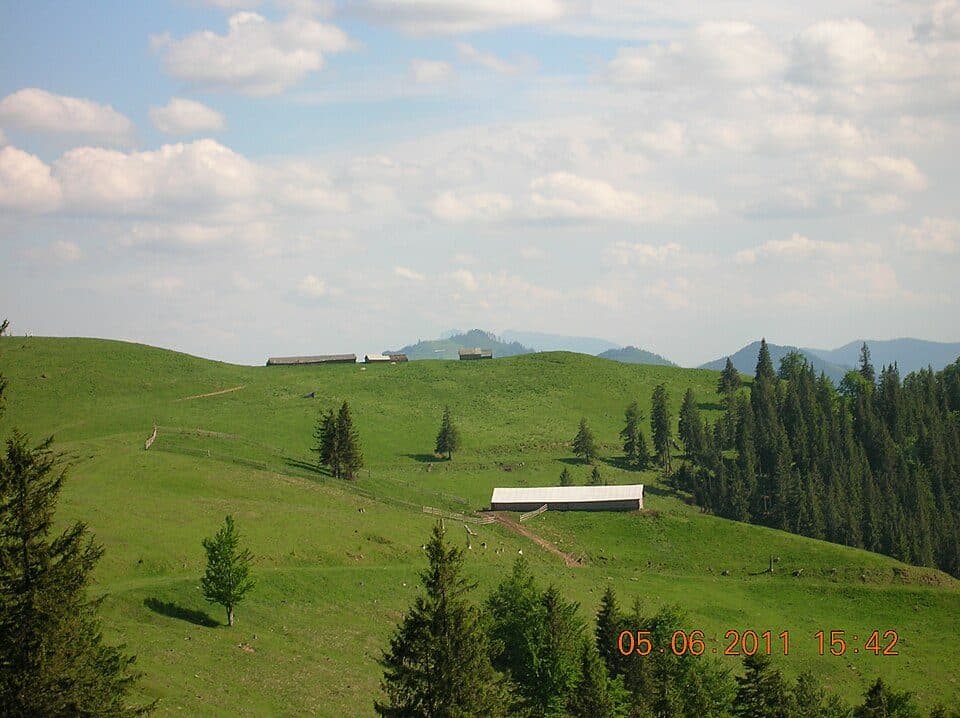 Creasta Iepei - Vf. Muncelul - Trecătoarea Stânișoarei - Pasul Petru Vodă