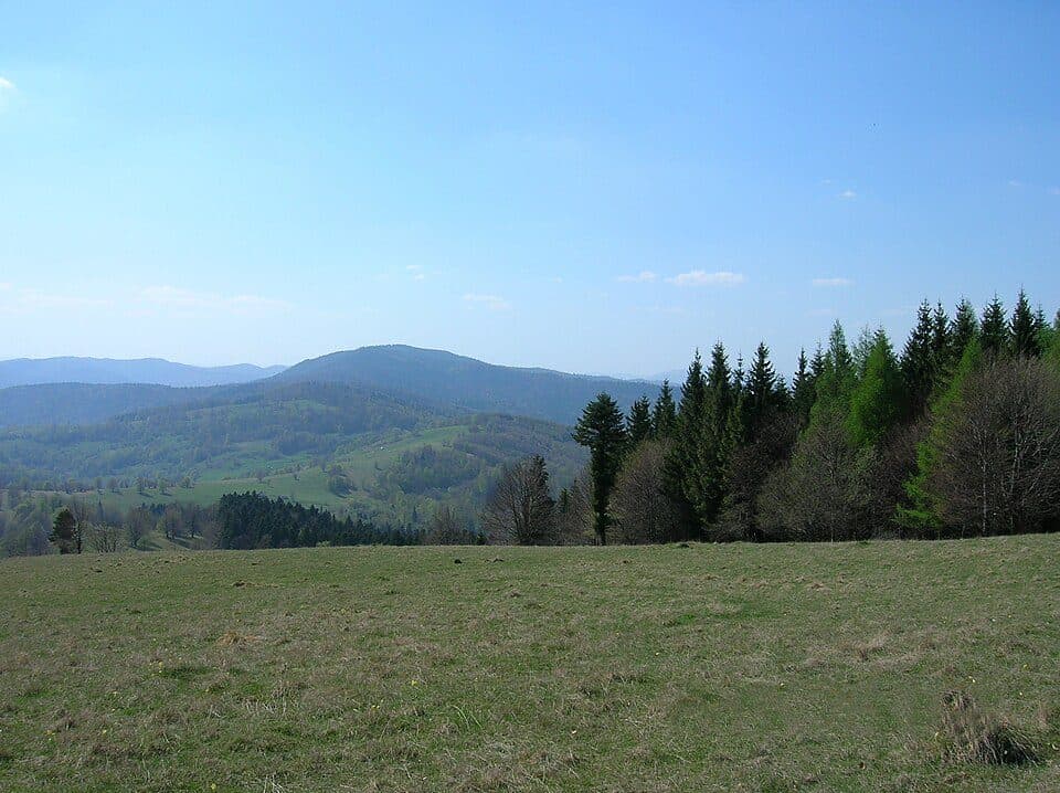 Creasta Iepei - Vf. Muncelul - Trecătoarea Stânișoarei - Pasul Petru Vodă