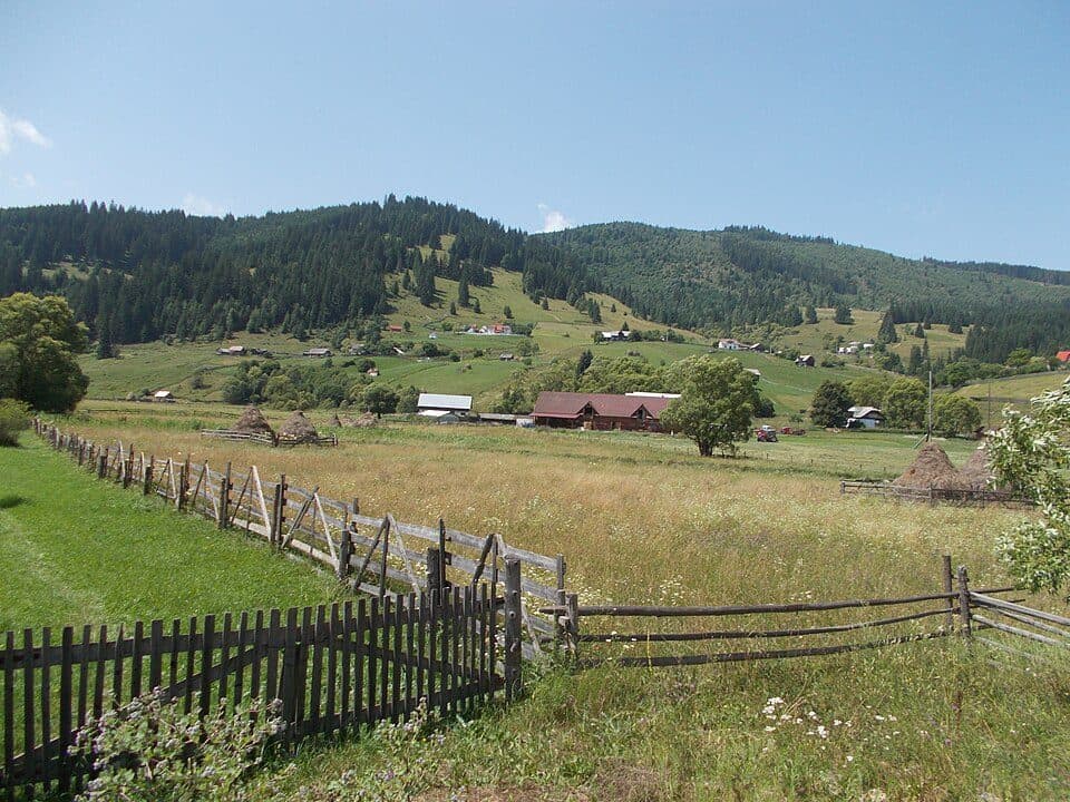 Sat Rusca – Valea Rusca – Șaua Izvorul Rău – Valea Izvorul Rău – Valea Bistriței – Sat Crucea