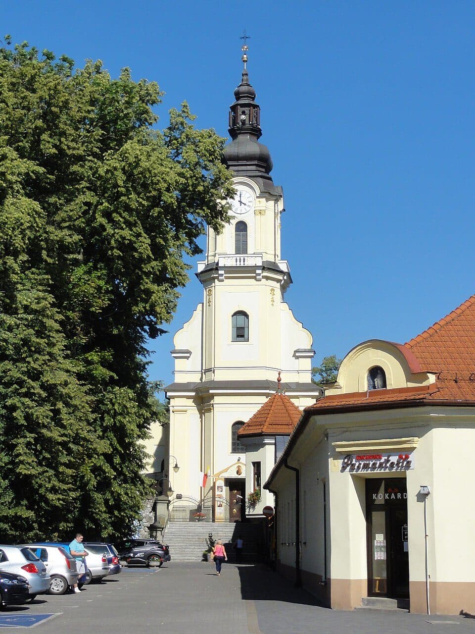 Andrychowski Pas Skałkowy