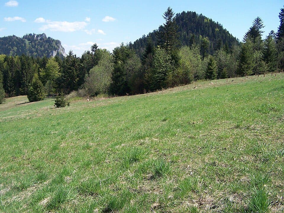 Nowa Góra (Pieniny)