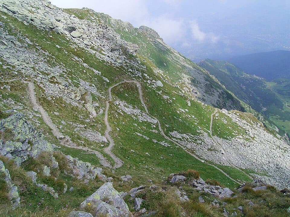 Borșa - Vf. Pietrosul Rodnei - Tarnița La Cruce