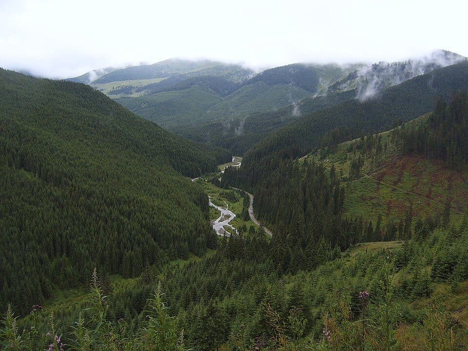 Pasul Prislop - Vf. Prislopul Cataramei - Vf. Toroiaga