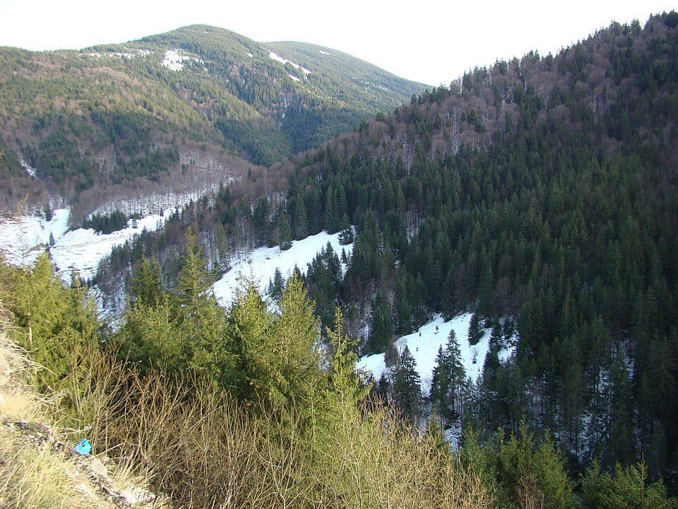 Valea Drăganului - Piatra Bănișorului - Baza de Salvare Vlădeasa