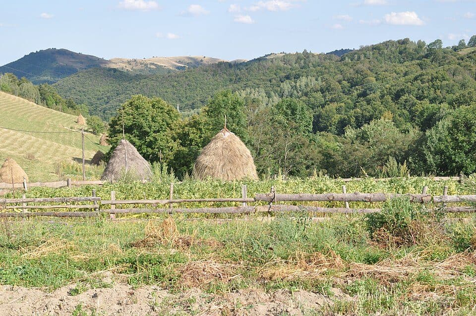 Valea Drăganului - Piatra Bănișorului - Baza de Salvare Vlădeasa