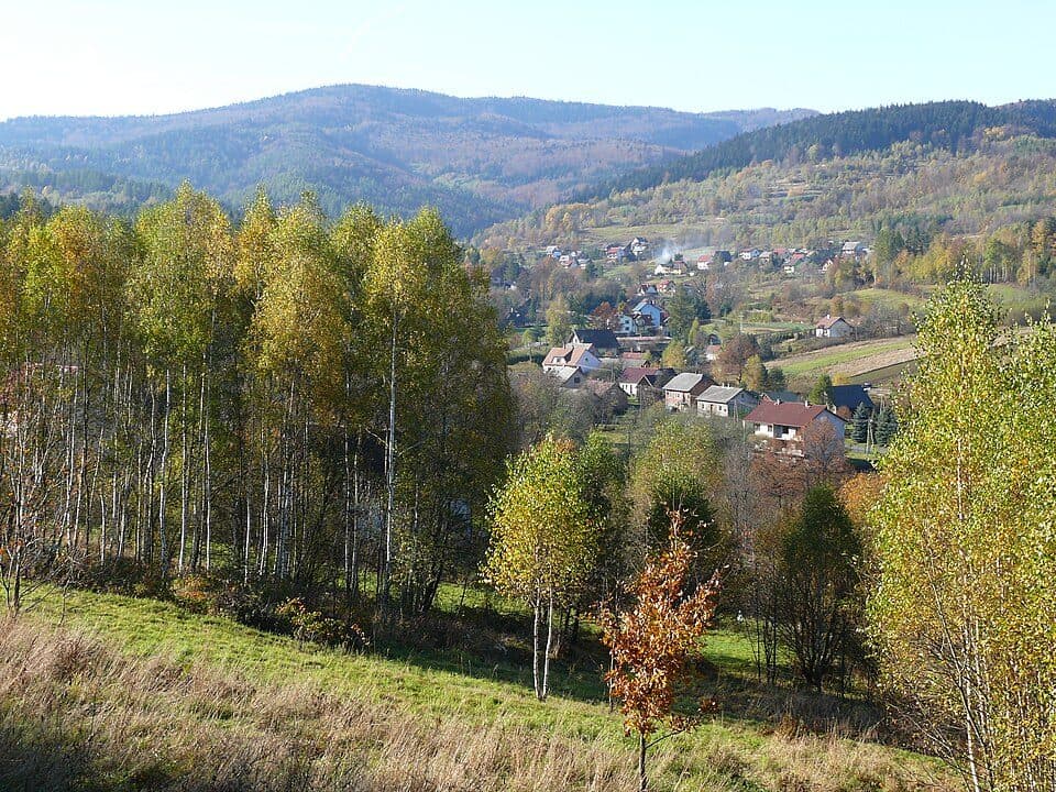 Tarnawa Górna - Tarnawa Górna (Kadelówka)