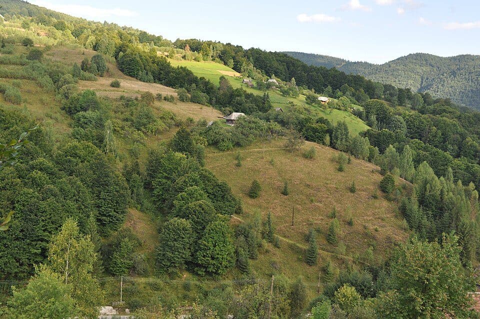 Refugiul Salvamont Răchițele-Vf. Lespezi-Cascada Vălul Miresei-Refugiul Salvamont Răchițele