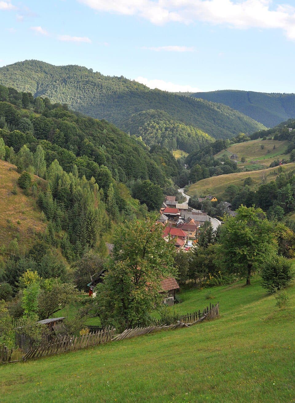 Refugiul Salvamont Răchițele-Vf. Lespezi-Cascada Vălul Miresei-Refugiul Salvamont Răchițele