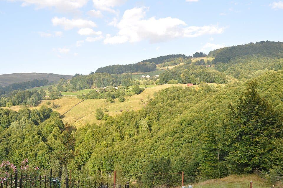 Refugiul Salvamont Răchițele-Vf. Lespezi-Cascada Vălul Miresei-Refugiul Salvamont Răchițele