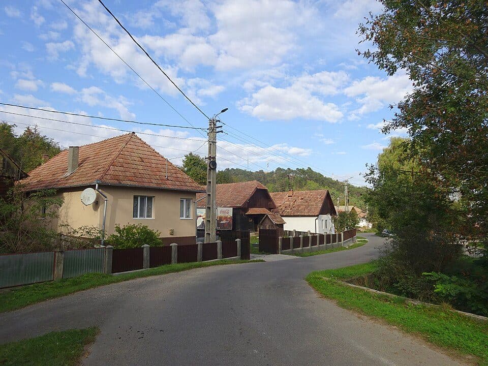 Ocolișel - Cheile Ocolișelului - Valea Vadului
