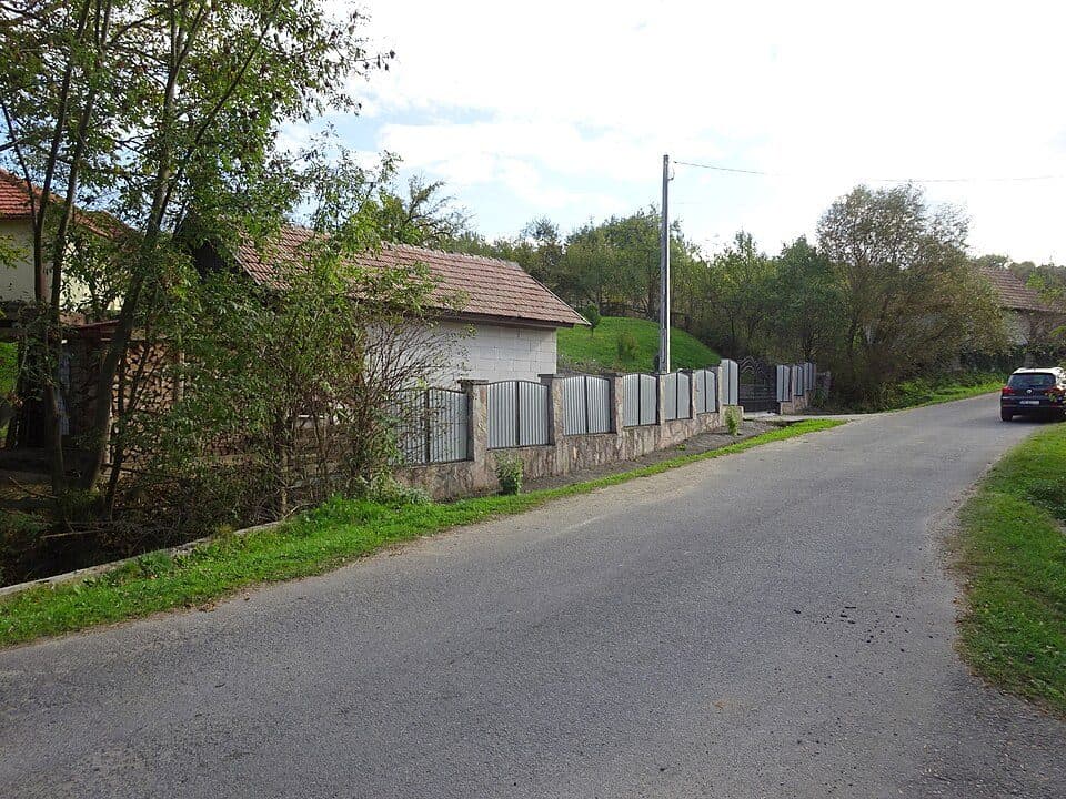 Ocolișel - Cheile Ocolișelului - Valea Vadului