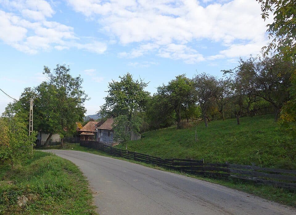 Ocolișel - Cheile Ocolișelului - Valea Vadului