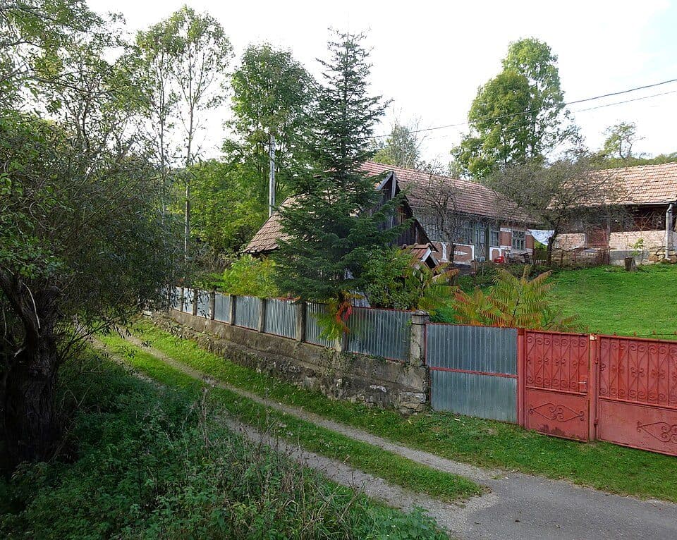Ocolișel - Cheile Ocolișelului - Valea Vadului