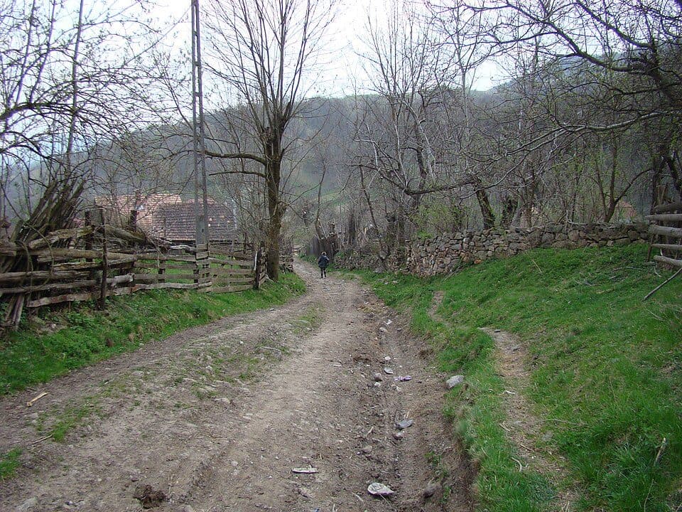 Runc - Vârful Scărița - Rezervația Scărița Belioara