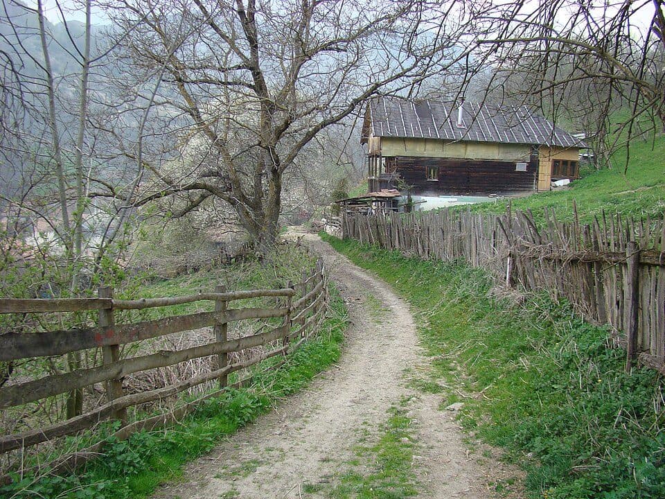 Stațiunea Muntele Băișorii - Rezervația Scărița Belioara - Runc