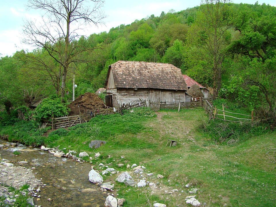Stațiunea Muntele Băișorii - Rezervația Scărița Belioara - Runc