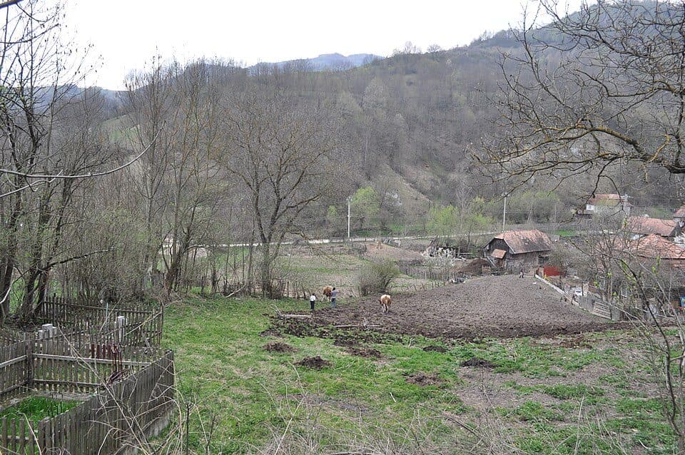 Runc - Vârful Scărița - Rezervația Scărița Belioara