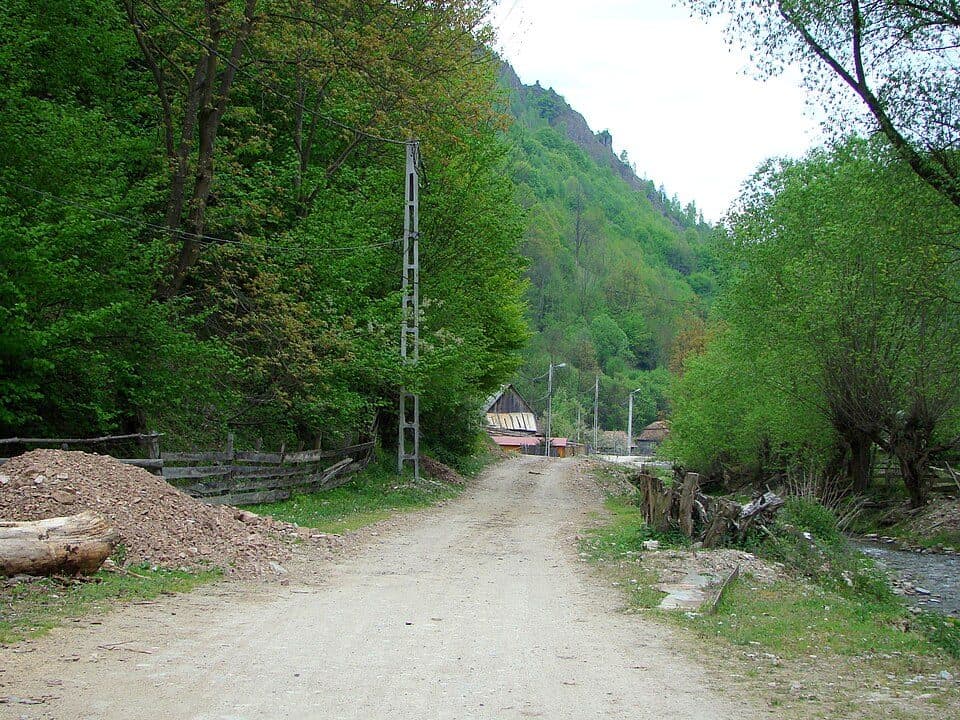 Stațiunea Muntele Băișorii - Rezervația Scărița Belioara - Runc