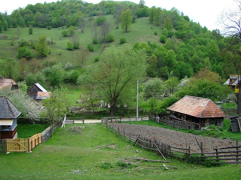 Stațiunea Muntele Băișorii - Rezervația Scărița Belioara - Runc