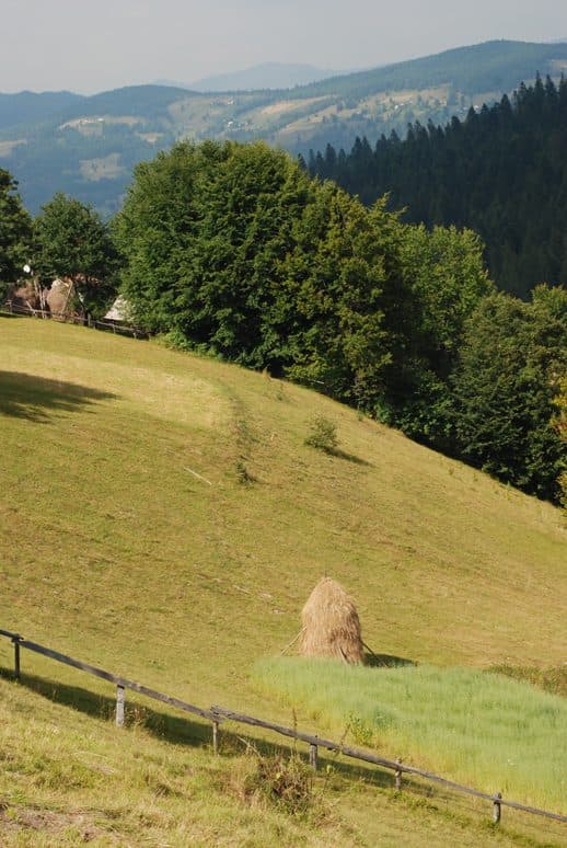 Valea Arieșul Mare - Cucurbăta Mare (Vf. Bihor)