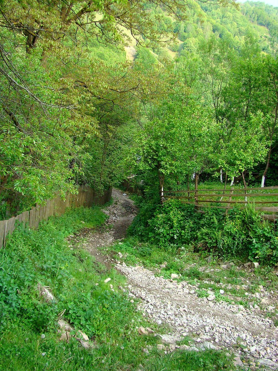 Baia de Arieș - Vf. Poienița