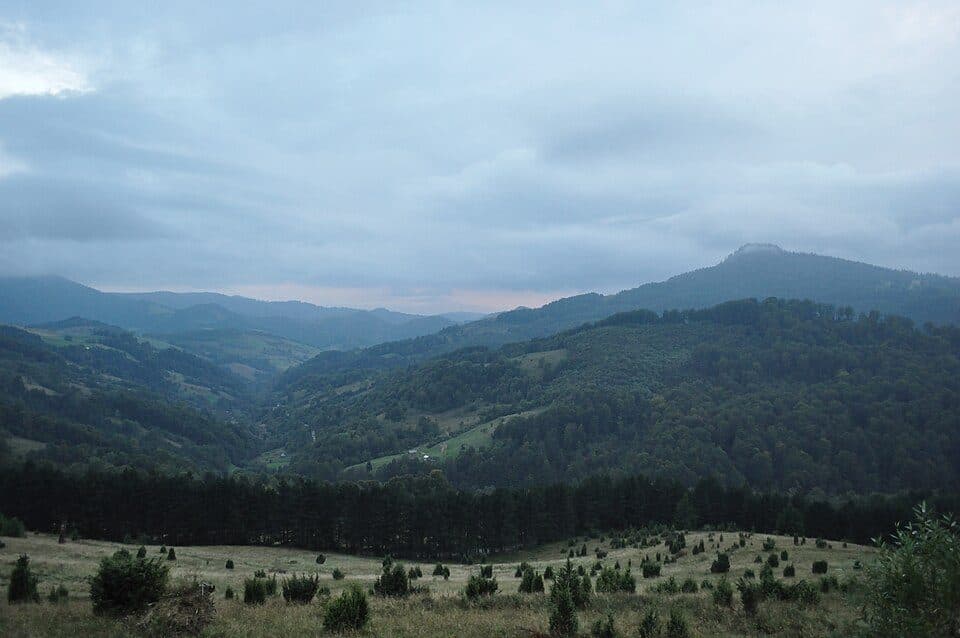 Detunata Goală